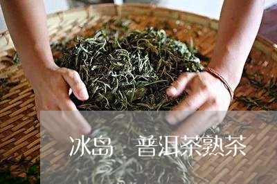 冰岛 普洱茶熟茶/2023041382936